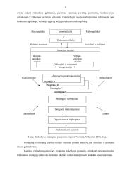 Rinkodaros strategijos formavimo proceso etapai 6 puslapis