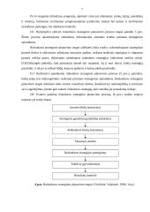 Rinkodaros strategijos formavimo proceso etapai 7 puslapis