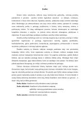 Ryšių rinkodara 3 puslapis