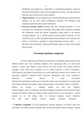 Ryšių rinkodara 6 puslapis