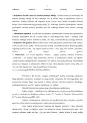 Ryšių rinkodara 7 puslapis