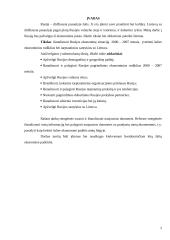 Rusijos ekonominės situacijos analizė 2 puslapis