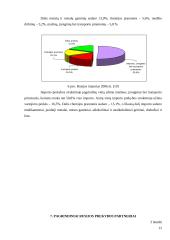 Rusijos ekonominės situacijos analizė 12 puslapis
