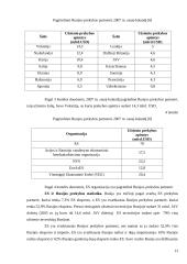 Rusijos ekonominės situacijos analizė 13 puslapis