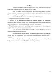 Rusijos ekonominės situacijos analizė 20 puslapis