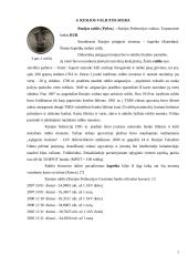 Rusijos ekonominės situacijos analizė 7 puslapis