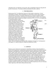 S. Pneumoniae patogeniškumo veiksniai 5 puslapis