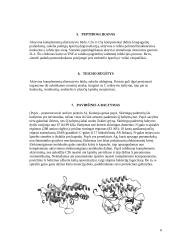 S. Pneumoniae patogeniškumo veiksniai 6 puslapis