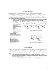 S. Pneumoniae patogeniškumo veiksniai 7 puslapis