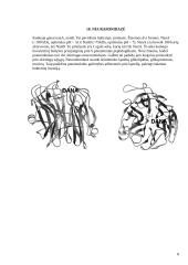 S. Pneumoniae patogeniškumo veiksniai 8 puslapis