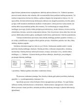 Sausoji trintis 3 puslapis