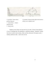 Sausoji trintis 8 puslapis