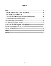 Savivalda Lietuvoje: savivaldos funkcijos ir jų finansavimas 2 puslapis