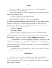 Semantizmai kalbos kultūroje 2 puslapis