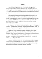 Signalizacijos CCS7 valdymas 2 puslapis