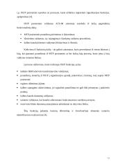 Signalizacijos CCS7 valdymas 12 puslapis