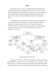 Signalizacijos CCS7 valdymas 4 puslapis