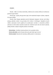 Skurdo lygis ir priežastys Lietuvoje 2 puslapis