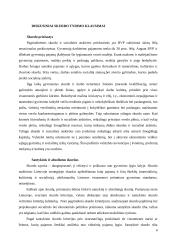 Skurdo lygis ir priežastys Lietuvoje 3 puslapis