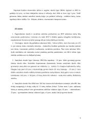 Skurdo lygis ir priežastys Lietuvoje 8 puslapis