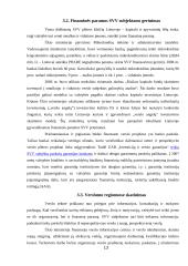 Smulkaus ir vidutinio verslo situacija Lietuvoje 13 puslapis