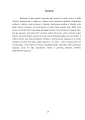 Smulkaus ir vidutinio verslo situacija Lietuvoje 17 puslapis