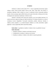 Smulkaus ir vidutinio verslo situacija Lietuvoje 3 puslapis