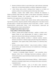 Smulkaus ir vidutinio verslo situacija Lietuvoje 5 puslapis