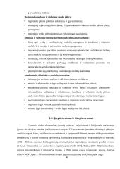 Smulkaus ir vidutinio verslo situacija Lietuvoje 6 puslapis