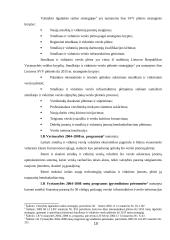 Smulkaus ir vidutinio verslo situacija Lietuvoje 10 puslapis