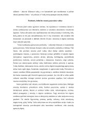 Smurto prieš vaikus situacija Lietuvoje 5 puslapis