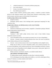 Socialinės apsaugos politika Lietuvoje 11 puslapis