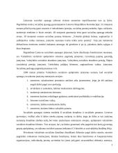 Socialinės apsaugos politika Lietuvoje 3 puslapis