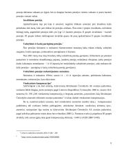 Socialinės apsaugos politika Lietuvoje 6 puslapis