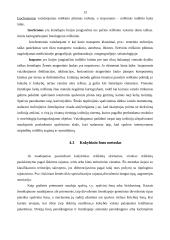 Socialinės geografijos tyrimo metodai 13 puslapis