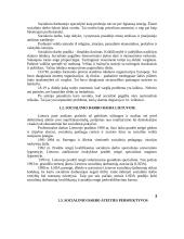 Socialinio darbo esmė ir ypatumai 3 puslapis