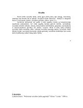 Socialinio darbo esmė ir ypatumai 8 puslapis