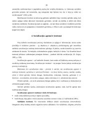 Socializacijos sąvoka, agentai bei įtakojantys faktoriai 15 puslapis