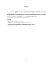 Sprendimų priėmimo procesas ir metodikos 3 puslapis