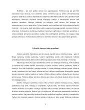 Sprendimų priėmimo procesas ir metodikos 5 puslapis