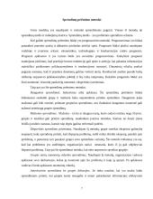 Sprendimų priėmimo procesas ir metodikos 7 puslapis