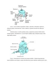 Stabdžių antiblokavimo sistema (ABS) 4 puslapis