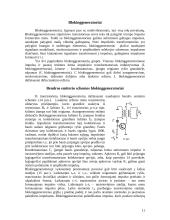 Stačiakampiai impulsų generatoriai 11 puslapis