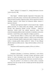 Strategijos įgyvendinimas įmonėje 11 puslapis