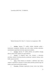 Strategijos įgyvendinimas įmonėje 12 puslapis