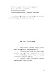 Strategijos įgyvendinimas įmonėje 16 puslapis