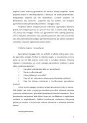 Strategijos įgyvendinimas įmonėje 7 puslapis