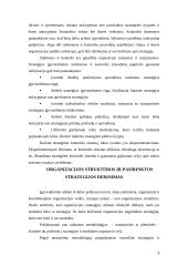 Strategijos įgyvendinimas įmonėje 9 puslapis