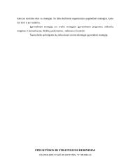 Strateginis planavimas 2 puslapis