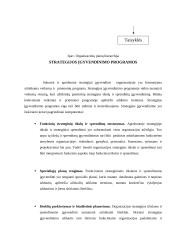 Strateginis planavimas 11 puslapis